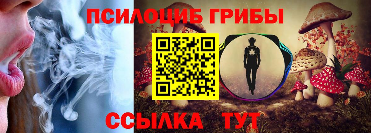 Галлюциногенные грибы мицелий Протвино